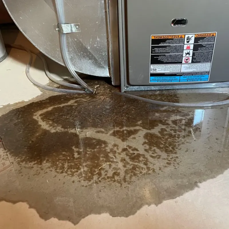 Pipe Burst and Leak Restoration in Cottage City, MD